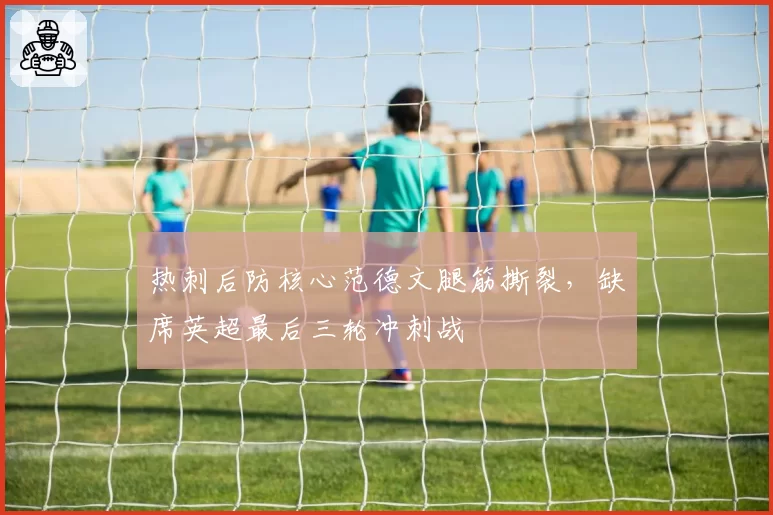 热刺后防核心范德文腿筋撕裂，缺席英超最后三轮冲刺战