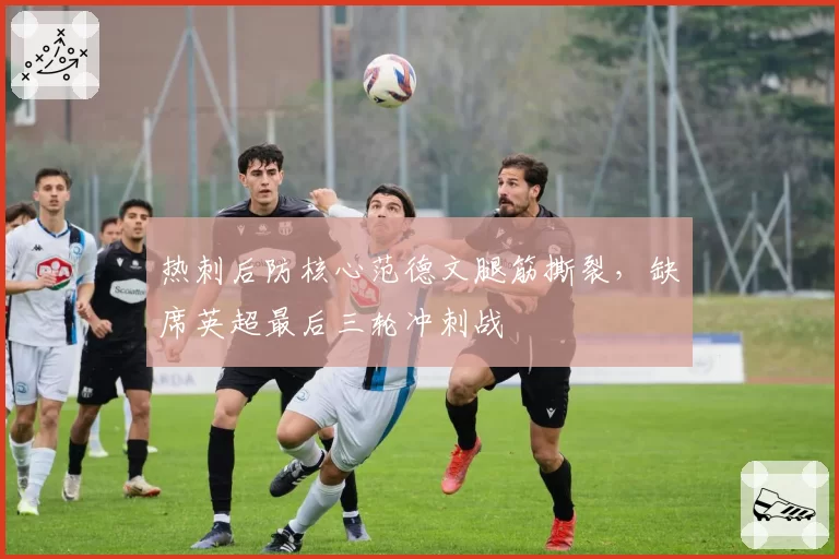 热刺后防核心范德文腿筋撕裂，缺席英超最后三轮冲刺战