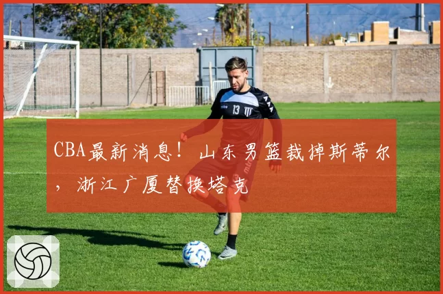 CBA最新消息！山东男篮裁掉斯蒂尔，浙江广厦替换塔克